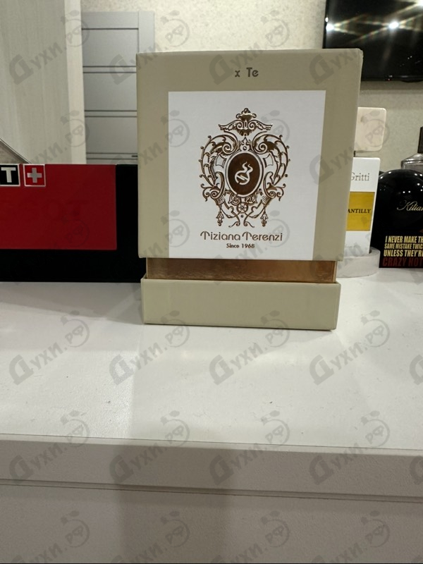 Купить Andromeda от Tiziana Terenzi