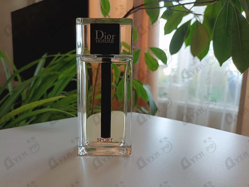 Купить Christian Dior Homme Sport (2017)