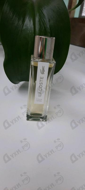 Духи Pour Femme Legere от Lacoste Отзывы Lacoste Pour Femme Legere