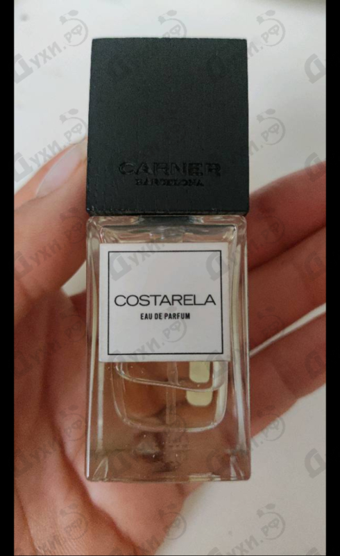 Купить Carner Barcelona Costarela