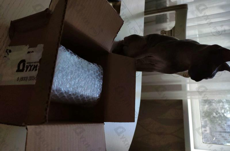 Парфюмерия Costarela от Carner Barcelona Отзывы Carner Barcelona Costarela