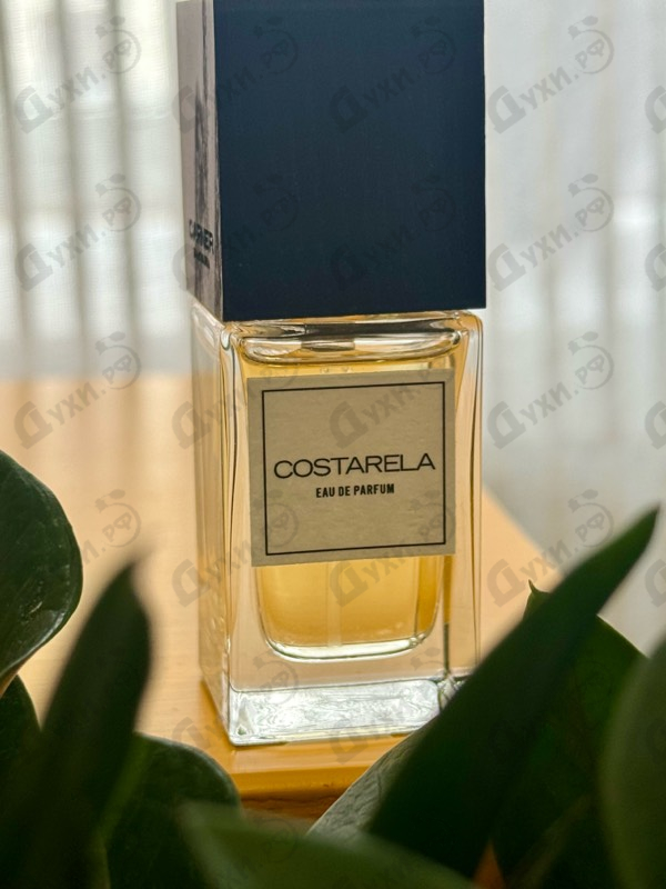 Отзыв Carner Barcelona Costarela