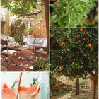 Отзыв Les Liquides Imaginaires Succus