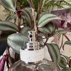 Парфюм Maison Martin Margiela's By The Fireplace