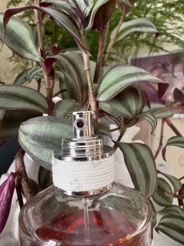 Отзывы Maison Martin Margiela's By The Fireplace