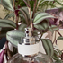 Отзывы Maison Martin Margiela's By The Fireplace