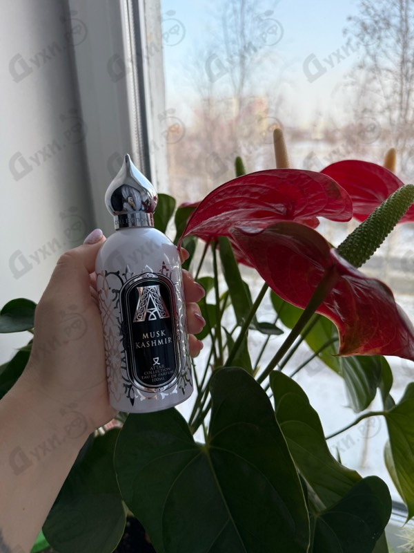 Духи Musk Kashmir от Attar Collection