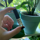 Парфюм Attar Collection Musk Kashmir