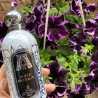 Отзыв Attar Collection Musk Kashmir