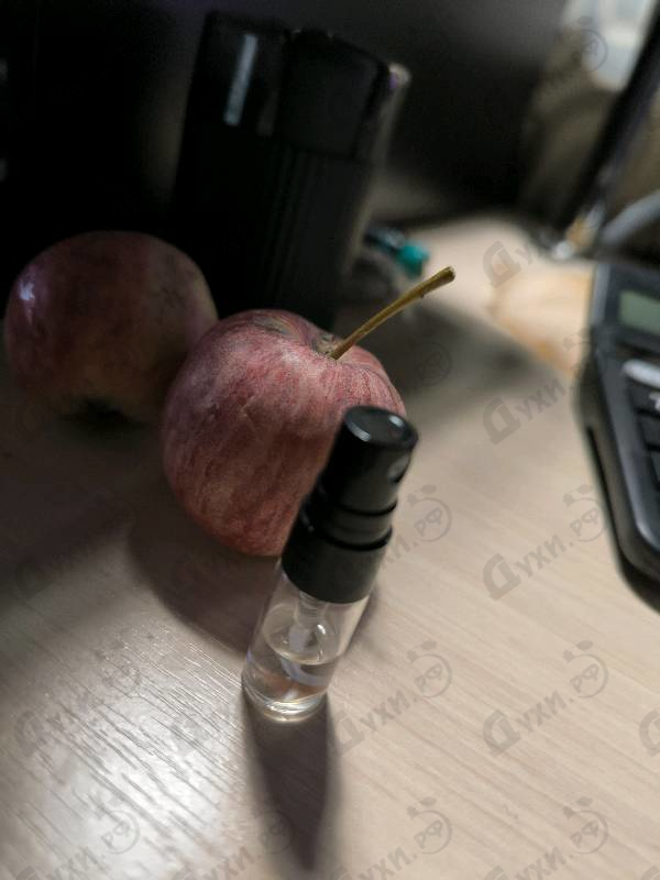 Купить Attar Collection Musk Kashmir