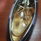 Отзыв Thierry Mugler Angel Muse