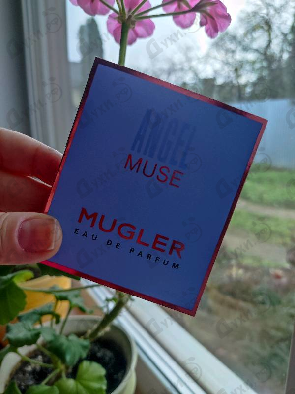 Купить Angel Muse от Thierry Mugler