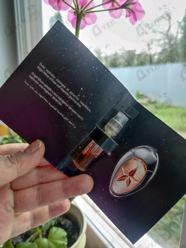 Парфюмерия Angel Muse от Thierry Mugler