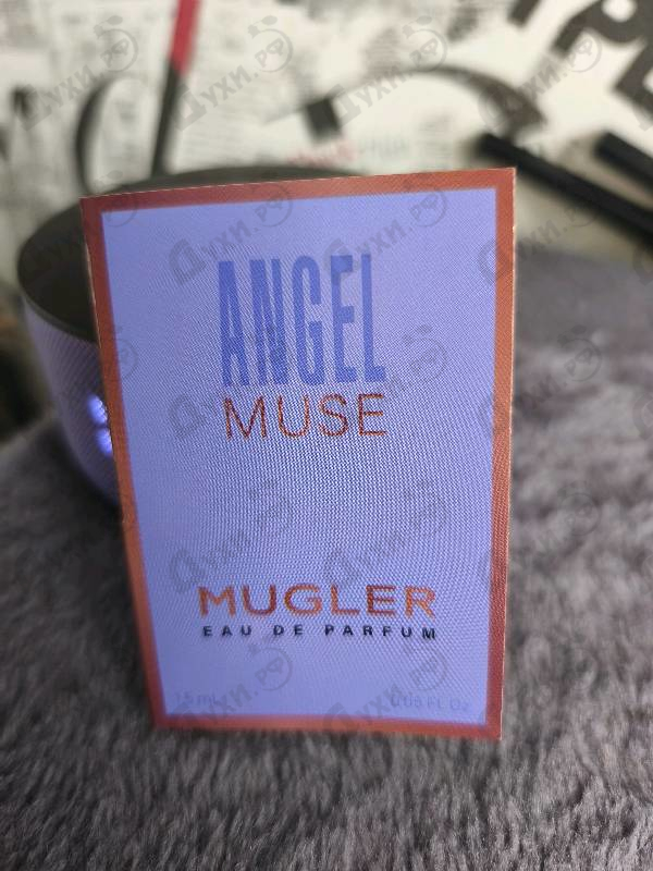 Купить Angel Muse от Thierry Mugler