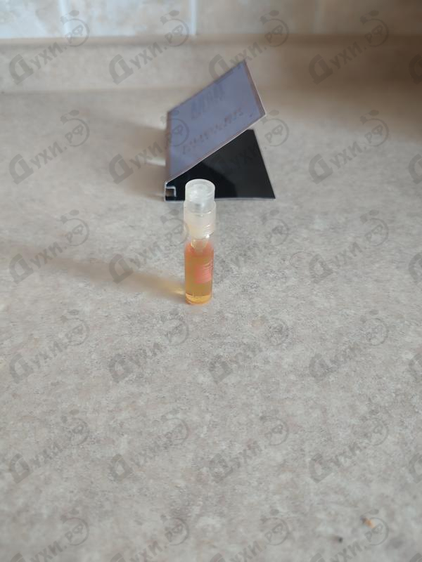 Парфюмерия Angel Muse от Thierry Mugler