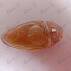 Парфюм Thierry Mugler Angel Muse