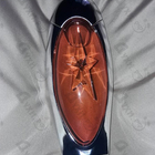 Отзывы Thierry Mugler Angel Muse