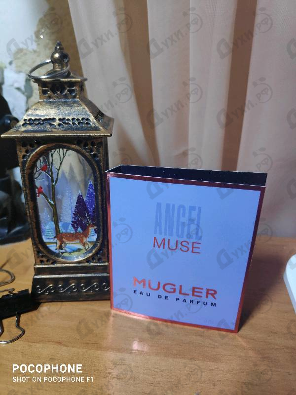 Парфюмерия Angel Muse от Thierry Mugler