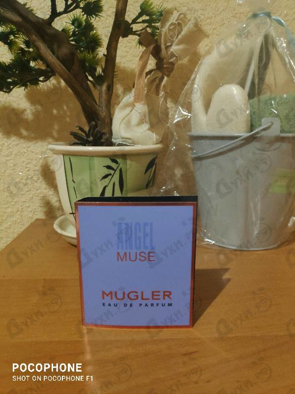 Отзывы Thierry Mugler Angel Muse