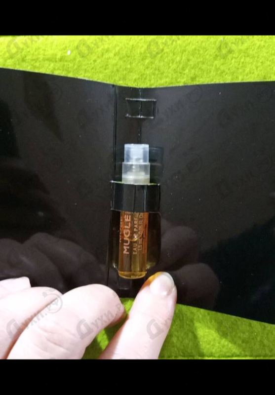 Купить Angel Muse от Thierry Mugler