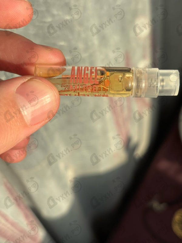 Купить Angel Muse от Thierry Mugler