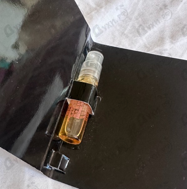 Купить Angel Muse от Thierry Mugler