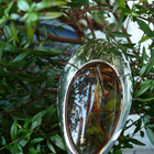 Отзывы Thierry Mugler Angel Muse