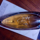 Духи Angel Muse от Thierry Mugler