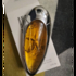 Духи Angel Muse от Thierry Mugler Отзывы Thierry Mugler Angel Muse