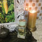 Парфюм Dolce & Gabbana Velvet Pure