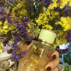 Духи Velvet Pure от Dolce & Gabbana