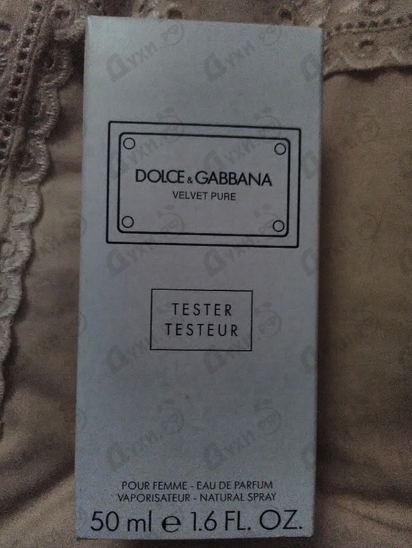 Купить Velvet Pure от Dolce & Gabbana