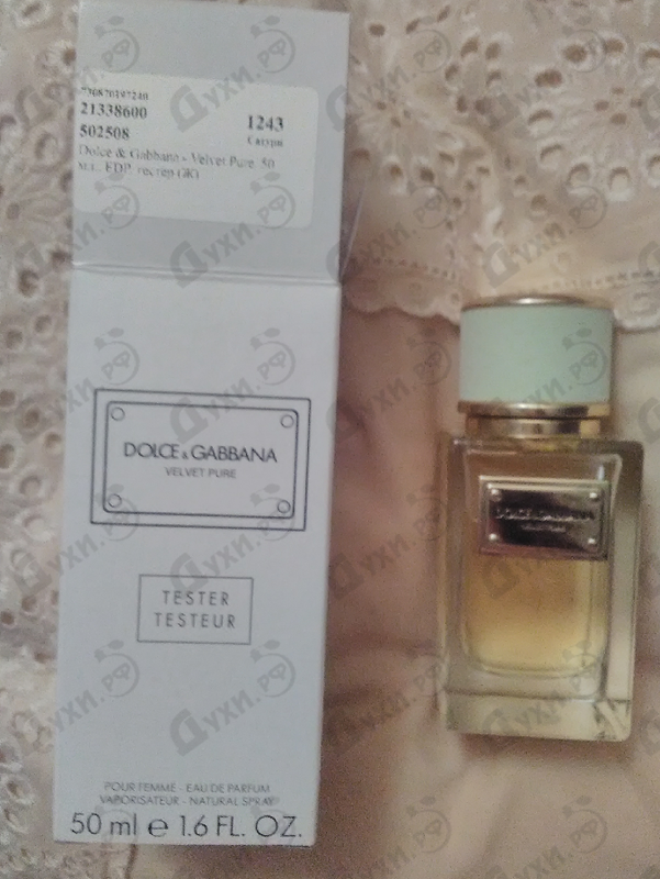 Купить Velvet Pure от Dolce & Gabbana