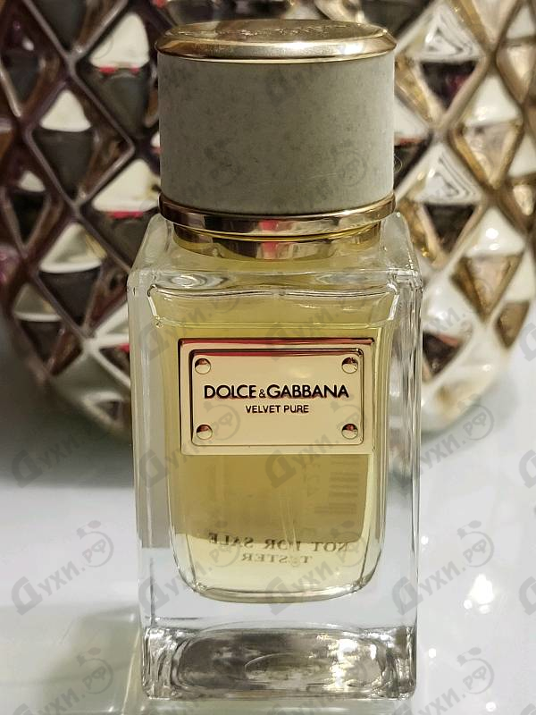 Парфюмерия Velvet Pure от Dolce & Gabbana