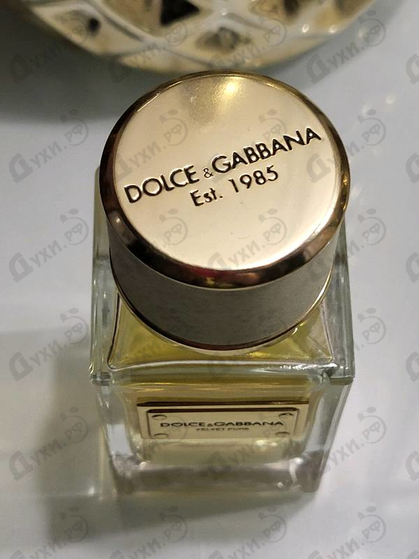 Купить Velvet Pure от Dolce & Gabbana