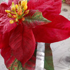 Парфюм Elizabeth Arden White Tea