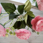 Отзыв Elizabeth Arden White Tea