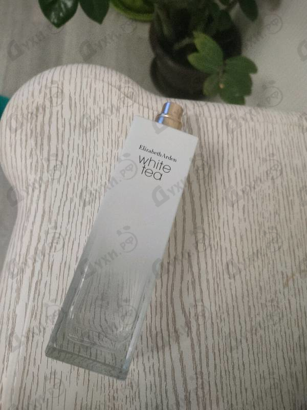 Парфюмерия White Tea от Elizabeth Arden