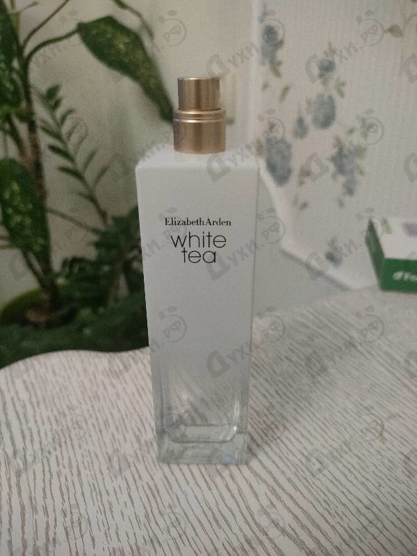 Купить White Tea от Elizabeth Arden