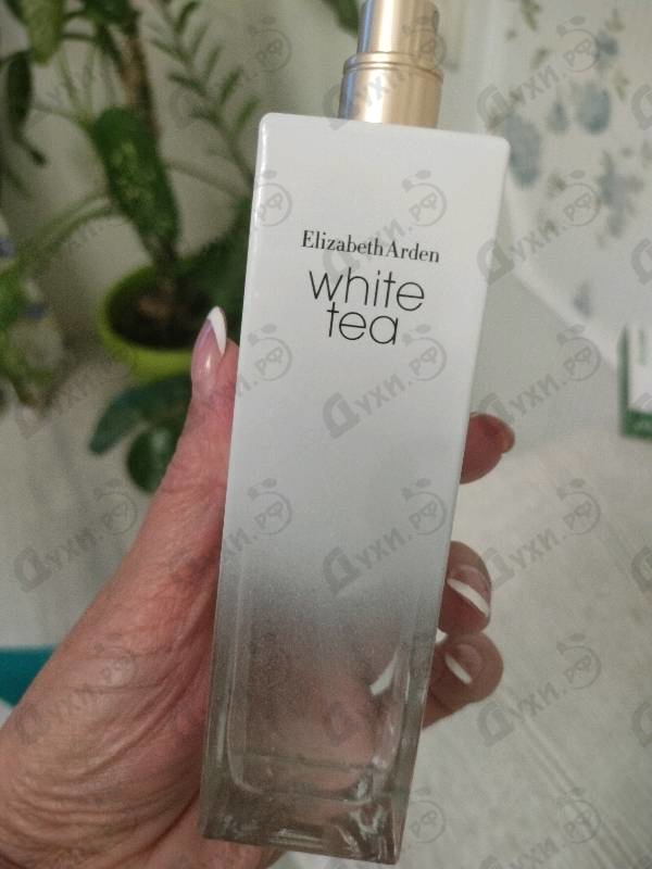 Купить White Tea от Elizabeth Arden