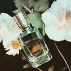 Отзыв Ex Nihilo Viper Green