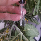 Парфюм Ex Nihilo Viper Green