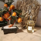 Отзыв Guerlain Aqua Allegoria Bergamote Calabria