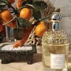 Отзывы Guerlain Aqua Allegoria Bergamote Calabria