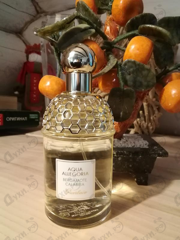 Купить Aqua Allegoria Bergamote Calabria от Guerlain