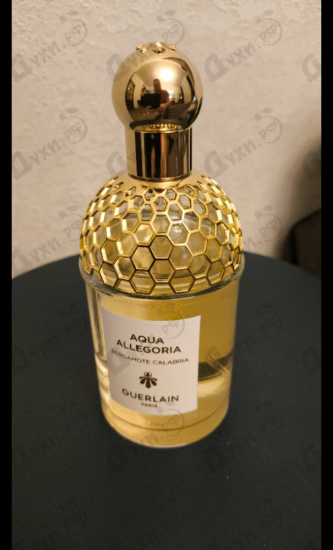 Купить Aqua Allegoria Bergamote Calabria от Guerlain