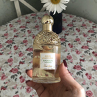 Духи Aqua Allegoria Bergamote Calabria от Guerlain