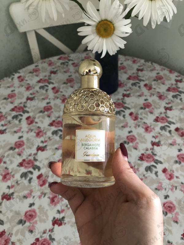 Купить Aqua Allegoria Bergamote Calabria от Guerlain