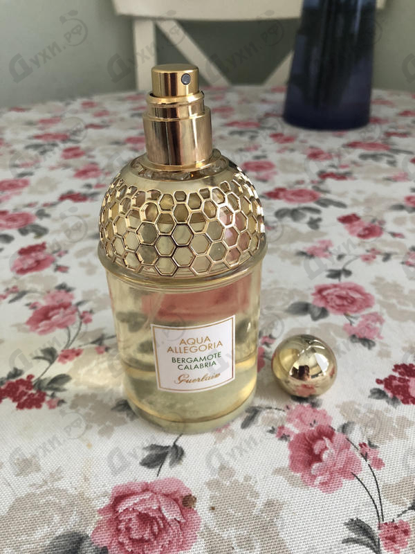 Купить Guerlain Aqua Allegoria Bergamote Calabria