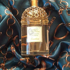 Отзывы Guerlain Aqua Allegoria Bergamote Calabria